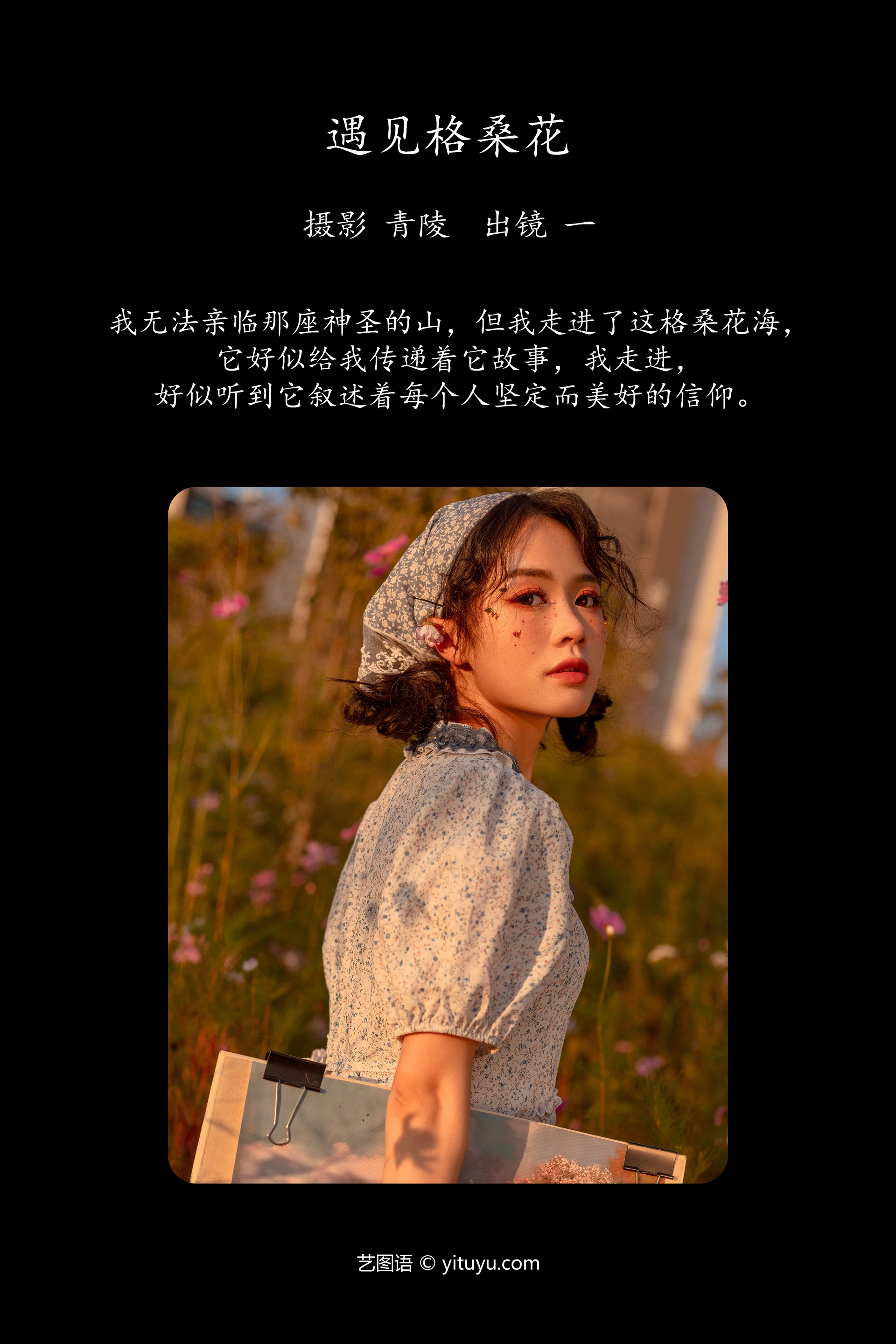 [YITUYU艺图语]2023.10.12 遇见格桑花 一 1