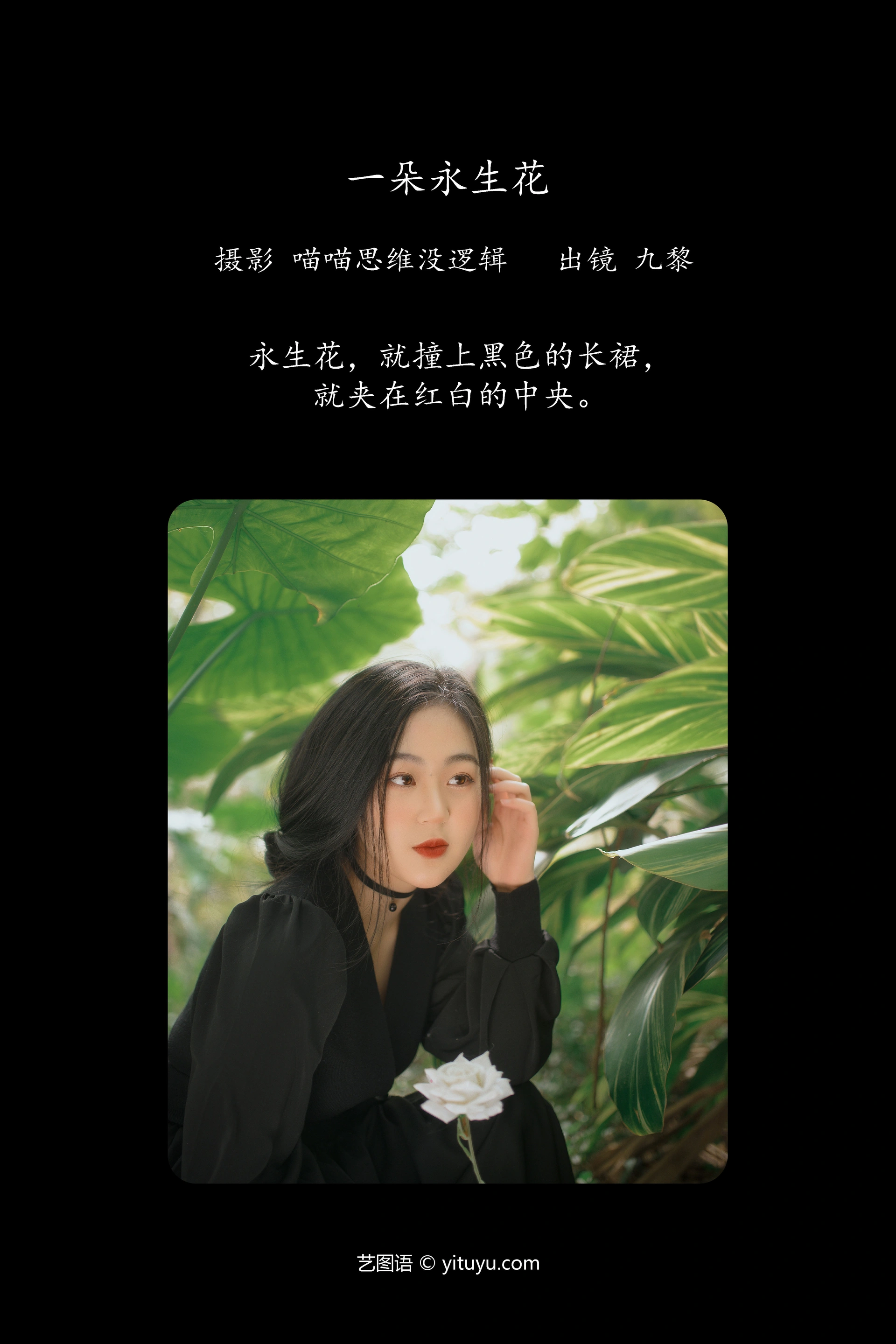 [YITUYU艺图语]2023.10.14 一朵永生花 九黎 1